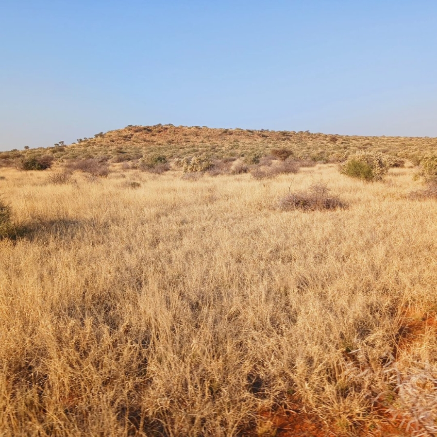 Commercial Property for Sale in Barkly West Rural Northern Cape